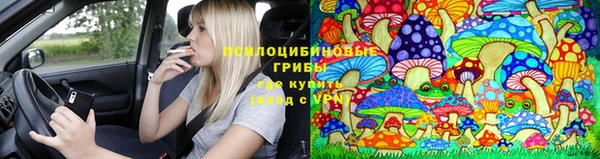 трава Алзамай